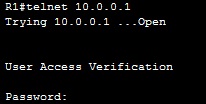 telnet successful